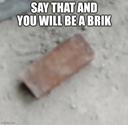 Brik | SAY THAT AND YOU WILL BE A BRIK | image tagged in brik | made w/ Imgflip meme maker