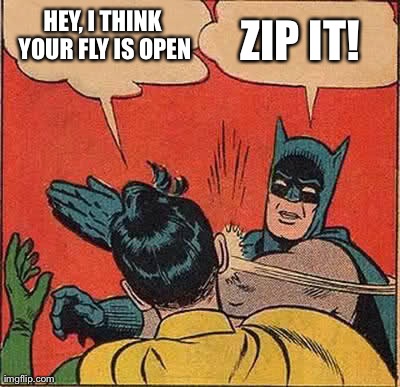 Batman Slapping Robin | HEY, I THINK YOUR FLY IS OPEN ZIP IT! | image tagged in memes,batman slapping robin | made w/ Imgflip meme maker