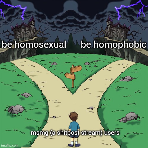 Two paths | be homosexual; be homophobic; msmg (a shitpost stream) users | image tagged in two paths | made w/ Imgflip meme maker