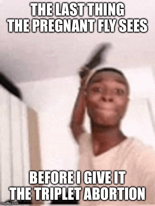 Yikes | THE LAST THING THE PREGNANT FLY SEES; BEFORE I GIVE IT THE TRIPLET ABORTION | image tagged in funny | made w/ Imgflip meme maker