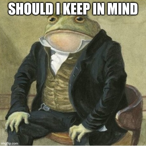 Formal frog | SHOULD I KEEP IN MIND | image tagged in formal frog | made w/ Imgflip meme maker
