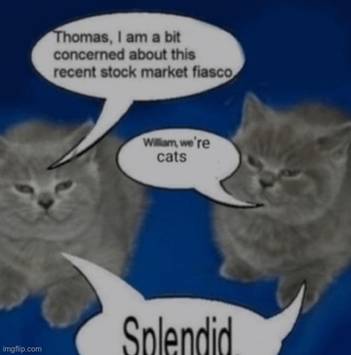 Splendid. | made w/ Imgflip meme maker