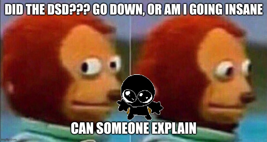 Monkey looking away | DID THE DSD??? GO DOWN, OR AM I GOING INSANE; CAN SOMEONE EXPLAIN | image tagged in monkey looking away | made w/ Imgflip meme maker