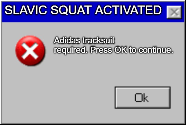 Windows Error Message | SLAVIC SQUAT ACTIVATED; Adidas tracksuit required. Press OK to continue. | image tagged in windows error message,slavic squat,slavic lives matter | made w/ Imgflip meme maker