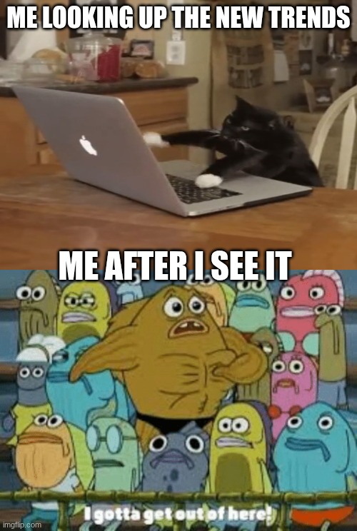 ME LOOKING UP THE NEW TRENDS; ME AFTER I SEE IT | image tagged in i gotta get out of here,typing kitty,memes,idk what this is | made w/ Imgflip meme maker