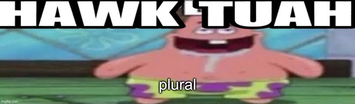 hawk tuah patrick v2 | plural | image tagged in hawk tuah patrick v2 | made w/ Imgflip meme maker