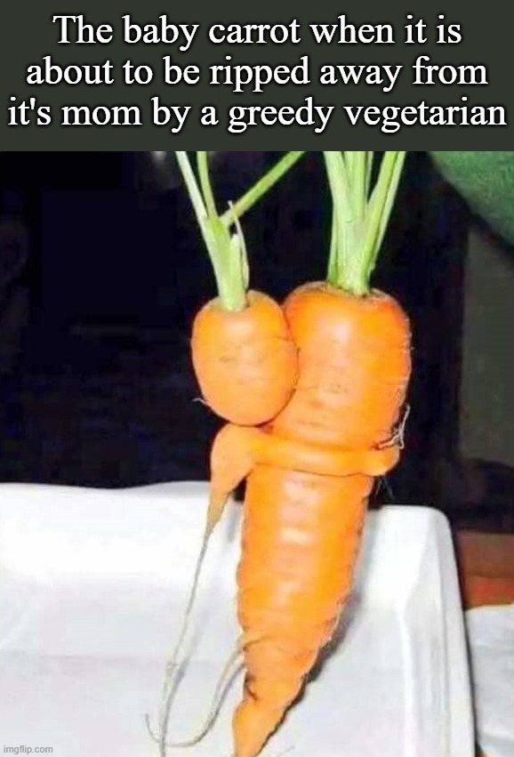 When a baby is ripped from a mother | The baby carrot when it is about to be ripped away from it's mom by a greedy vegetarian | image tagged in vegetarian | made w/ Imgflip meme maker