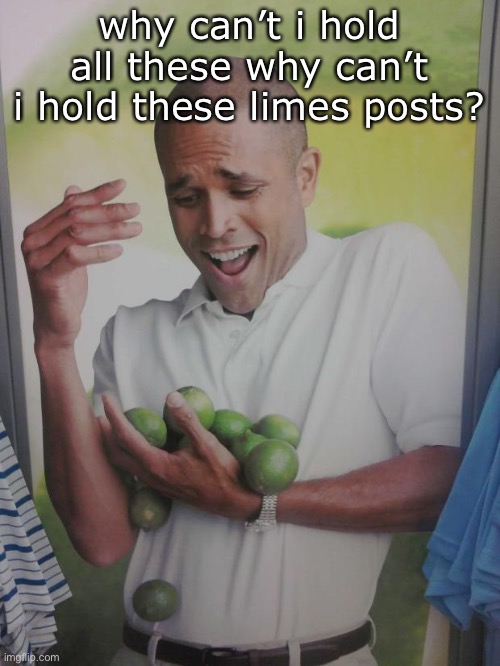 Why Can't I Hold All These Limes | why can’t i hold all these why can’t i hold these limes posts? | image tagged in memes,why can't i hold all these limes | made w/ Imgflip meme maker