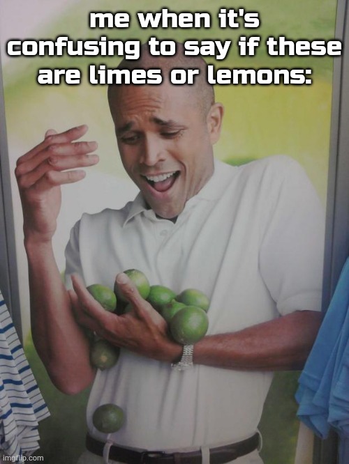 " | me when it's confusing to say if these are limes or lemons: | image tagged in memes,why can't i hold all these limes | made w/ Imgflip meme maker