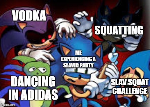 scared sonic | SQUATTING; VODKA; ME EXPERIENCING A SLAVIC PARTY; SLAV SQUAT CHALLENGE; DANCING IN ADIDAS | image tagged in scared sonic,slavic live,slavic lives matter | made w/ Imgflip meme maker