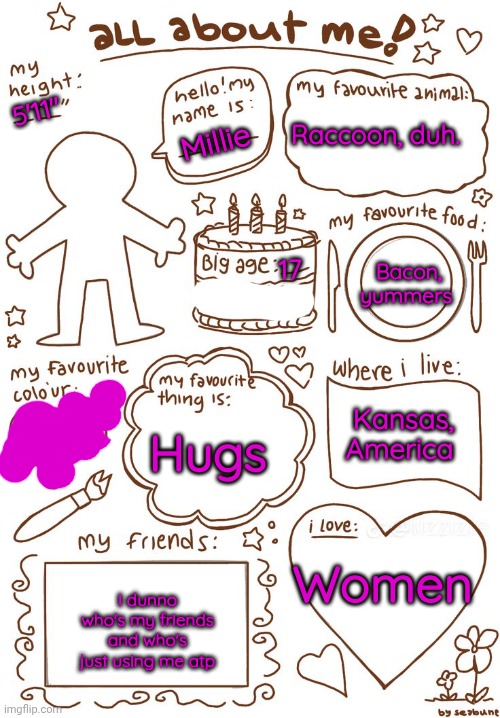 all about meh | 5'11"; Raccoon, duh. Millie; Bacon, yummers; 17; Kansas, America; Hugs; Women; I dunno who's my friends and who's just using me atp | image tagged in all about meh | made w/ Imgflip meme maker