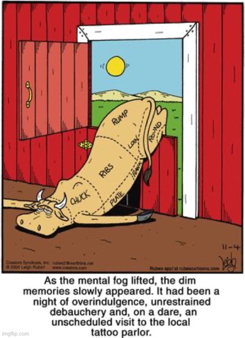Rubes | image tagged in comics,rubes,bull,tattoos,regret,barn | made w/ Imgflip meme maker