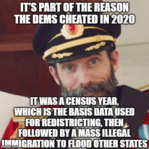 Captain Obvious | IT'S PART OF THE REASON THE DEMS CHEATED IN 2020 IT WAS A CENSUS YEAR, WHICH IS THE BASIS DATA USED FOR REDISTRICTING, THEN FOLLOWED BY A MA | image tagged in captain obvious | made w/ Imgflip meme maker