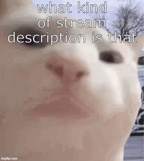 i showed you my | what kind of stream description is that | image tagged in i showed you my | made w/ Imgflip meme maker