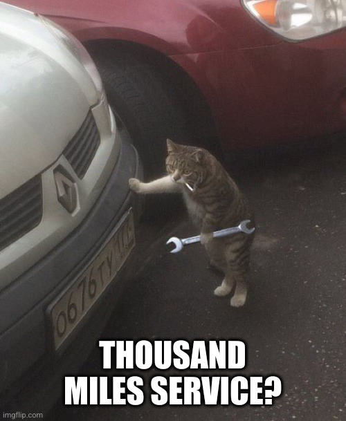 Mechanic cat | THOUSAND MILES SERVICE? | image tagged in mechanic cat | made w/ Imgflip meme maker