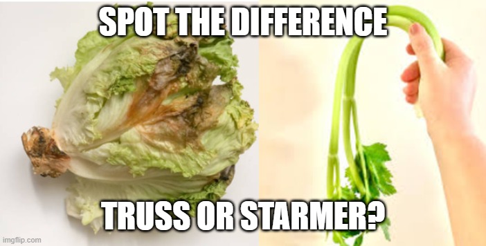 RUSS STARMER | SPOT THE DIFFERENCE; TRUSS OR STARMER? | image tagged in prime minister | made w/ Imgflip meme maker