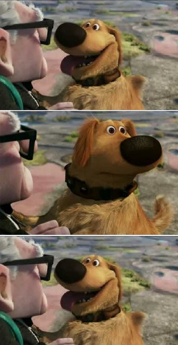 Squirrel Distraction Up! Blank Meme Template