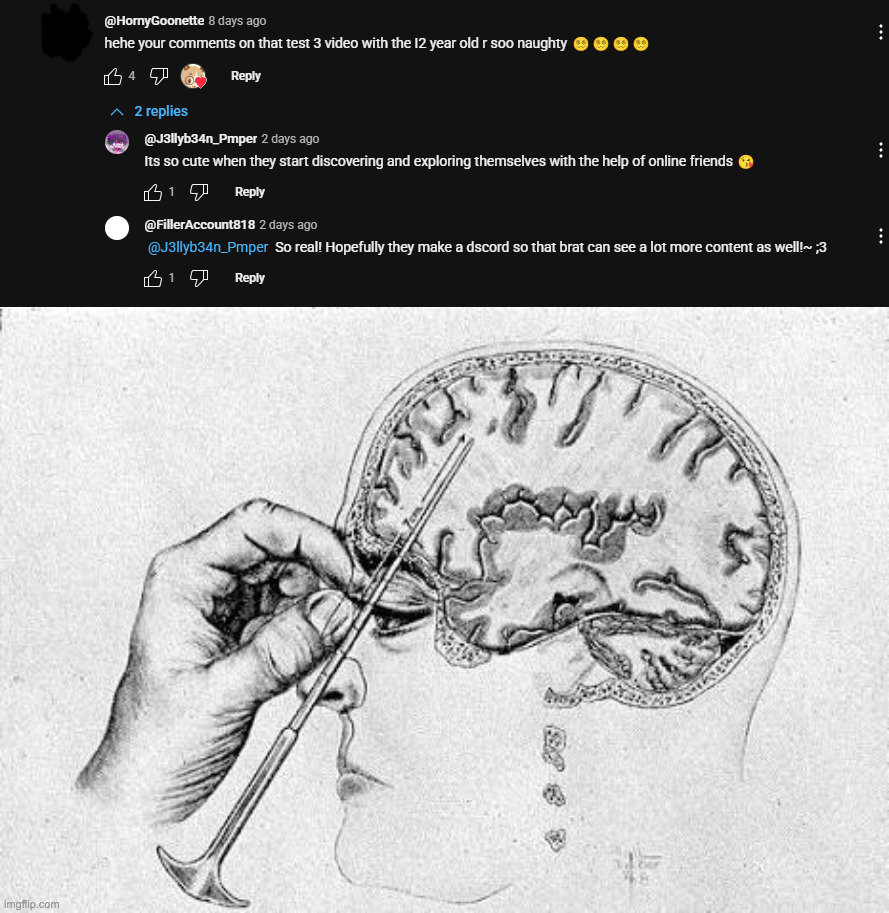 YouTube pedos are being exposed and this is just one of the comments found on there | image tagged in lobotomy | made w/ Imgflip meme maker