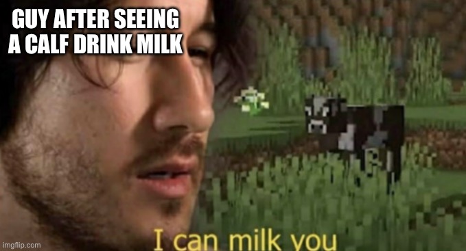 I can milk you | GUY AFTER SEEING A CALF DRINK MILK | image tagged in i can milk you | made w/ Imgflip meme maker