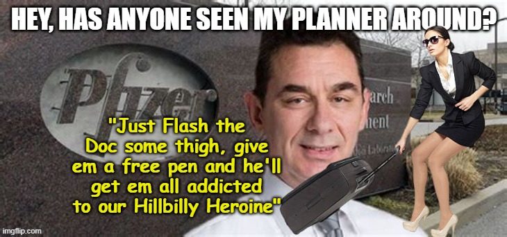 "Just Flash the Doc some thigh, give em a free pen and he'll get em all addicted to our Hillbilly Heroine" | made w/ Imgflip meme maker