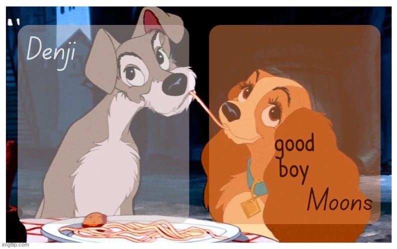 Denji and Moons - Lady And The Tramp temp | good boy | image tagged in denji and moons - lady and the tramp temp | made w/ Imgflip meme maker