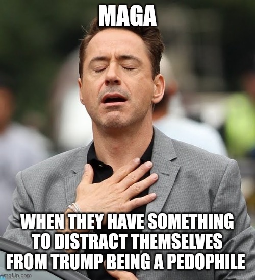 Relief Robert Downey Jr. | MAGA; WHEN THEY HAVE SOMETHING TO DISTRACT THEMSELVES FROM TRUMP BEING A PEDOPHILE | image tagged in relief robert downey jr | made w/ Imgflip meme maker