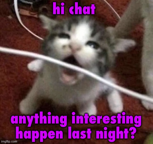 I LOVE EATING CABLES | hi chat; anything interesting happen last night? | image tagged in bomb | made w/ Imgflip meme maker