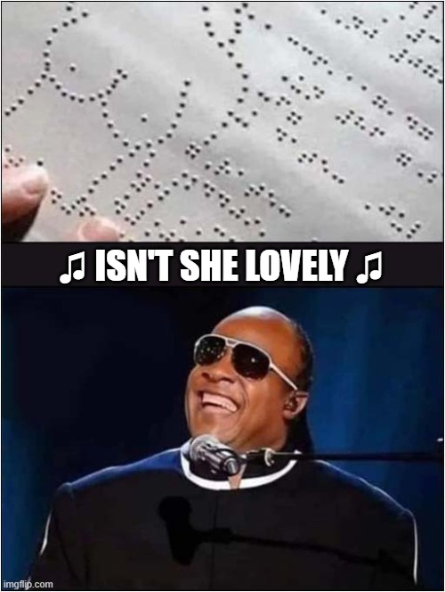 When You 'See' It ! | ♫ ISN'T SHE LOVELY ♫ | image tagged in wierd,braille,stevie wonder,song lyrics,dark humour | made w/ Imgflip meme maker