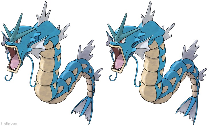 image tagged in gyarados | made w/ Imgflip meme maker