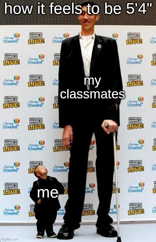 the tallest and shortest man in the world | how it feels to be 5'4"; my classmates; me | image tagged in the tallest and shortest man in the world | made w/ Imgflip meme maker