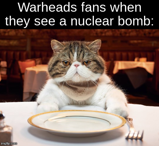 hungry cat | Warheads fans when they see a nuclear bomb: | image tagged in hungry cat | made w/ Imgflip meme maker