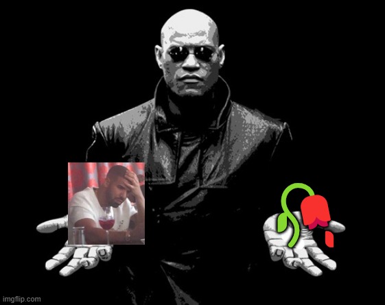 . | 🥀 | image tagged in morpheus matrix blue pill red pill | made w/ Imgflip meme maker