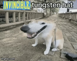 image tagged in gifs | made w/ Imgflip video-to-gif maker