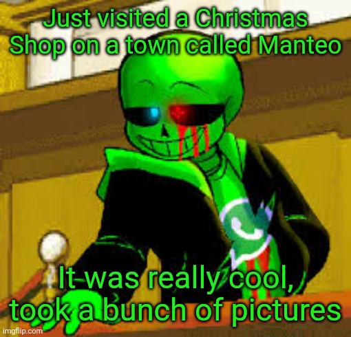 They had a ton of sections, there was a candy spot with lots of treats, a big Halloween section, and thousands of ornaments | Just visited a Christmas Shop on a town called Manteo; It was really cool, took a bunch of pictures | image tagged in green snas | made w/ Imgflip meme maker