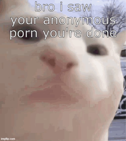 i showed you my | bro i saw your anonymous porn you're done | image tagged in i showed you my | made w/ Imgflip meme maker