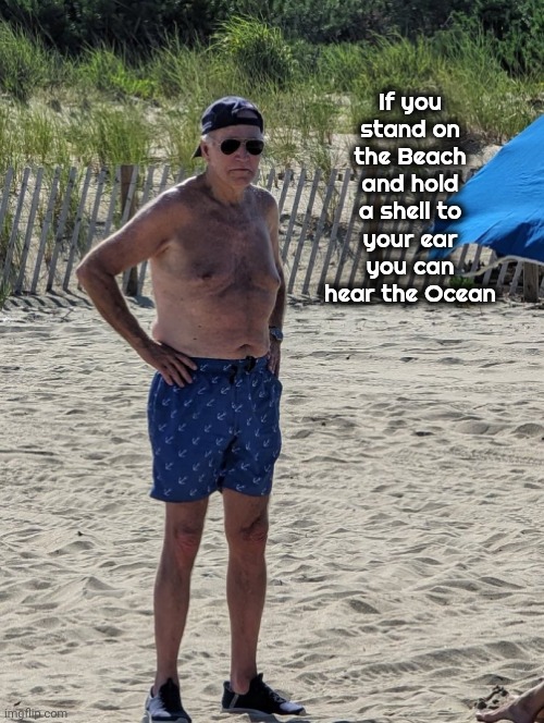 Joe Biden beach | If you stand on the Beach and hold a shell to your ear you can hear the Ocean | image tagged in joe biden beach | made w/ Imgflip meme maker