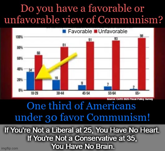 Proof That With Age Comes Wisdom | Do you have a favorable or 
unfavorable view of Communism? Favorable; Unfavorable; Source: CATO 2025 Fiscal Policy Survey; One third of Americans 
under 30 favor Communism! If You're Not a Liberal at 25, You Have No Heart. 
If You're Not a Conservative at 35, 
You Have No Brain. | image tagged in survey says,communism,americans,young,liberals vs conservatives,america was never meant to be a communist country | made w/ Imgflip meme maker