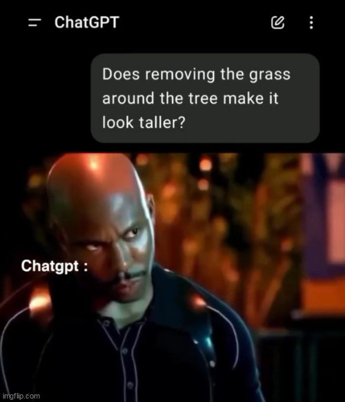 Say what | image tagged in chat gpt,repost,funny,trees,grass,penis | made w/ Imgflip meme maker