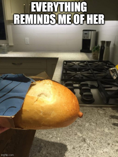 Everything reminds me of her | EVERYTHING REMINDS ME OF HER | image tagged in bread,funny,nipple,ex girlfriend,tits,boobs | made w/ Imgflip meme maker