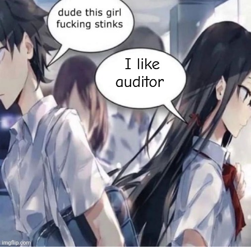 No more gooning to moons | I like auditor | image tagged in dude this girl fucking stinks | made w/ Imgflip meme maker