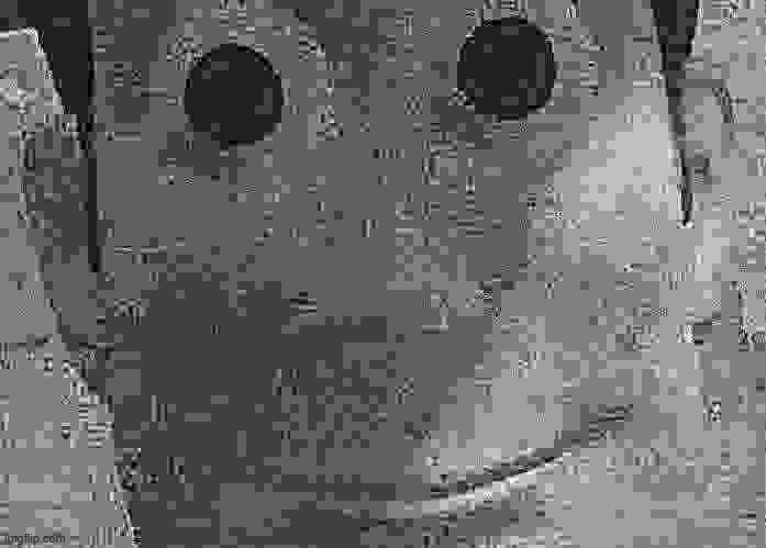 WE TOYS CAN SEE EVERYTHING | image tagged in we toys can see everything | made w/ Imgflip meme maker