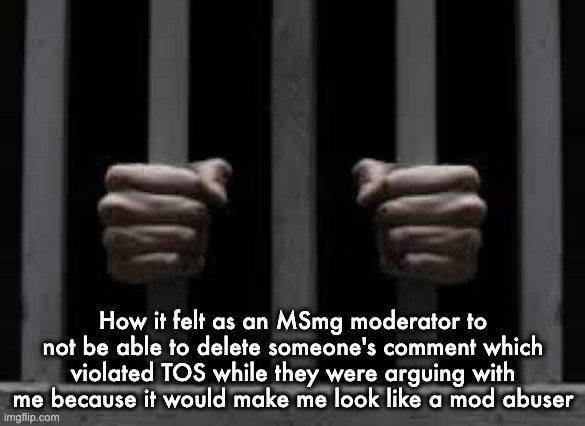 Jail | How it felt as an MSmg moderator to not be able to delete someone's comment which violated TOS while they were arguing with me because it would make me look like a mod abuser | image tagged in jail | made w/ Imgflip meme maker