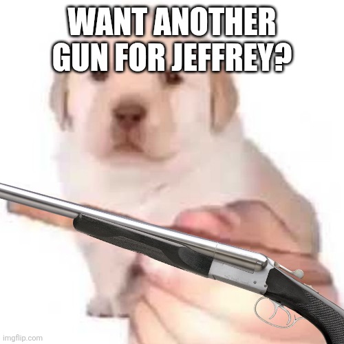quieres? | WANT ANOTHER GUN FOR JEFFREY? | image tagged in quieres | made w/ Imgflip meme maker