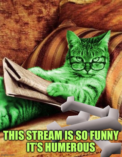 Factual RayCat | THIS STREAM IS SO FUNNY
IT’S HUMEROUS | image tagged in factual raycat | made w/ Imgflip meme maker