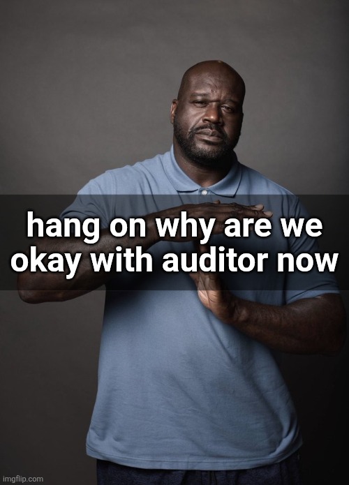 hol up bro | hang on why are we okay with auditor now | image tagged in shaq timeout | made w/ Imgflip meme maker