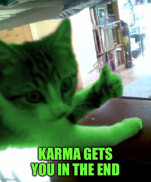 thumbs up RayCat | KARMA GETS YOU IN THE END | image tagged in thumbs up raycat | made w/ Imgflip meme maker