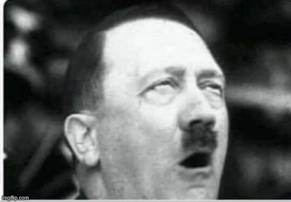 basing | image tagged in hitler eyeroll | made w/ Imgflip meme maker