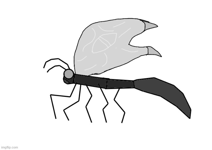 Corellan Eye Wing (basically just bigass butterflies that roamed Corella) | made w/ Imgflip meme maker