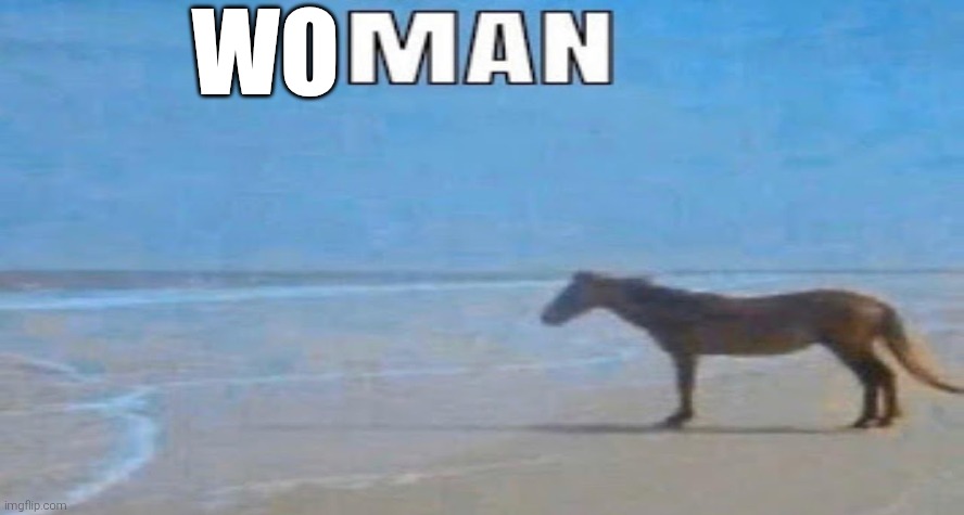 depressed horse | WO | image tagged in depressed horse | made w/ Imgflip meme maker