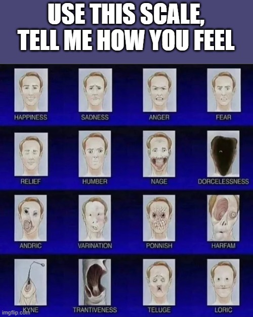 Tell Me How You Feel | USE THIS SCALE, TELL ME HOW YOU FEEL | image tagged in cursed image | made w/ Imgflip meme maker